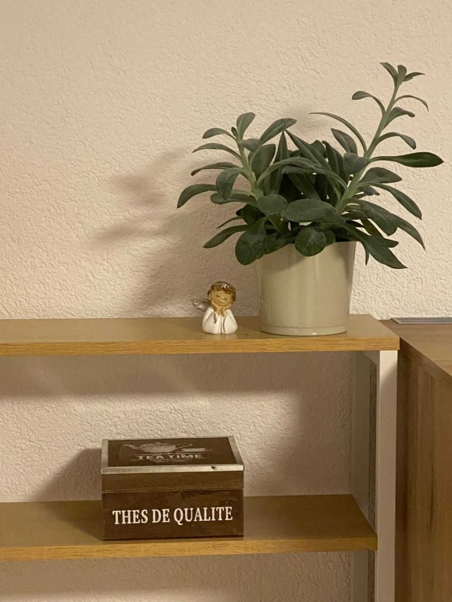 אפנווייר 2 Zimmer Ferienunterkunft Gemeinsame Zeit מראה חיצוני תמונה